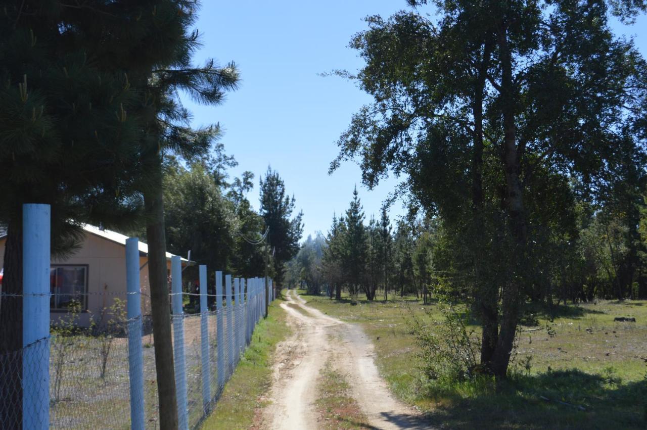 Coyunche Cabanas Y Camping Laja & San Rosendo Exterior foto